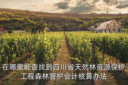 肖玉華，在哪里能查找到四川省天然林資源保護工程森林管護會計核算辦法