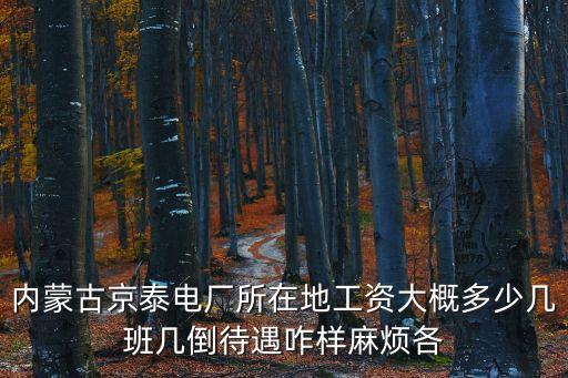 內(nèi)蒙古京泰電廠所在地工資大概多少幾班幾倒待遇咋樣麻煩各