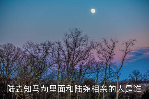 陸垚知馬莉里面和陸堯相親的人是誰(shuí)