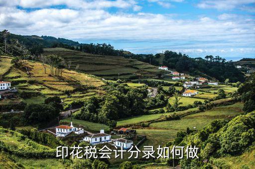 印花稅賬務(wù)處理，印花稅的會計(jì)分錄怎樣做