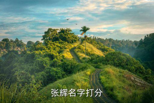 張輝名字打分
