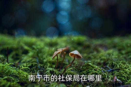 南寧市的社保局在哪里