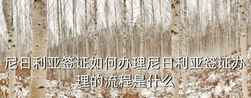 尼日利亞簽證如何辦理尼日利亞簽證辦理的流程是什么
