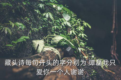 譚磊，用譚磊這個(gè)名字設(shè)計(jì)一個(gè)網(wǎng)名