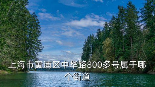 中華路街道，武漢市武昌中華路街道辦在哪兒