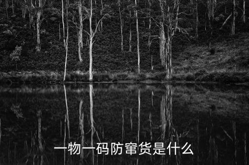 防串貨，求防市場竄貨方法