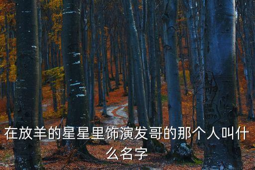 陳為民，陳為民演過的古裝劇