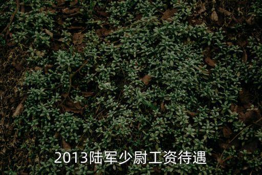 少尉工資多少，2012年河北廊坊的一個(gè)消防武警少尉一個(gè)月工資大概是多少  問