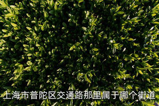 交通路，上海市普陀區(qū)交通路那里屬于哪個(gè)街道