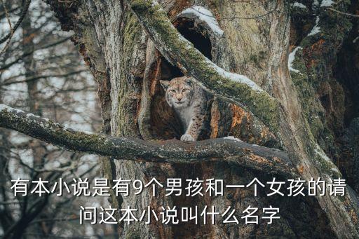有本小說是有9個男孩和一個女孩的請問這本小說叫什么名字