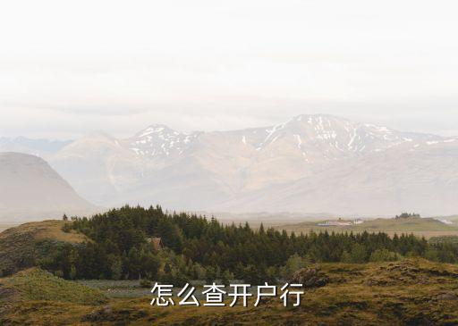 銀行開戶行怎么查，怎么查開戶行