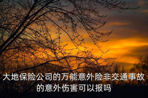 大地保險(xiǎn)公司的萬(wàn)能意外險(xiǎn)非交通事故的意外傷害可以報(bào)嗎