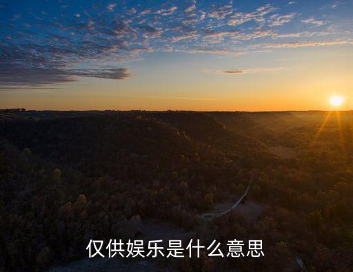 僅供，僅供娛樂(lè)是什么意思