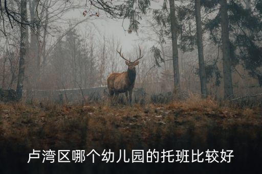 盧灣區(qū)哪個幼兒園的托班比較好