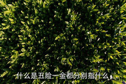什么是五險(xiǎn)一金都分別指什么