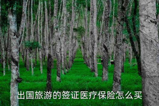 出國(guó)旅游的簽證醫(yī)療保險(xiǎn)怎么買