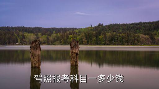 科目一考試費(fèi)用多少，駕照?qǐng)?bào)考科目一多少錢