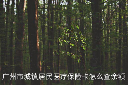 廣州市城鎮(zhèn)居民醫(yī)療保險(xiǎn)卡怎么查余額