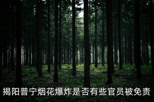 揭陽普寧煙花爆炸是否有些官員被免責(zé)