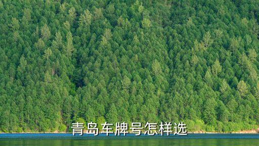 青島車牌號(hào)怎樣選