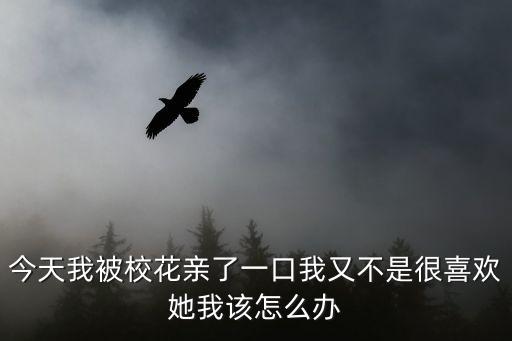 今天我被?；ㄓH了一口我又不是很喜歡她我該怎么辦