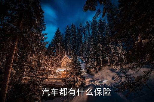 汽車(chē)都有什么保險(xiǎn)