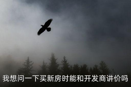 我想問一下買新房時能和開發(fā)商講價嗎