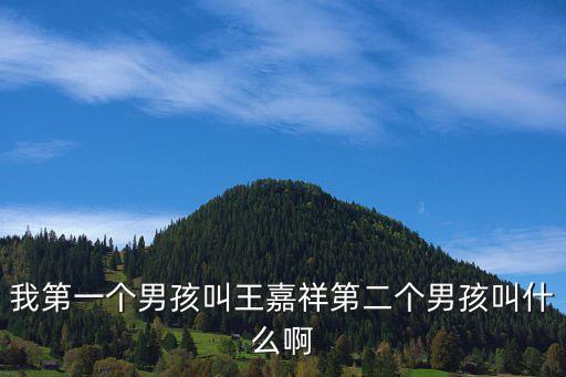 我第一個(gè)男孩叫王嘉祥第二個(gè)男孩叫什么啊
