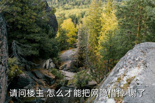 請(qǐng)問樓主 怎么才能把網(wǎng)隱借掉 謝了