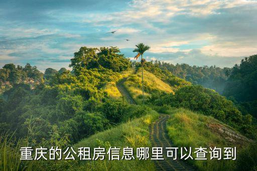 重慶公租房信息網(wǎng)，重慶公租房信息網(wǎng)的網(wǎng)址 是多少 最好有連接
