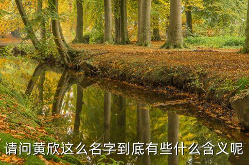 請問黃欣這么名字到底有些什么含義呢
