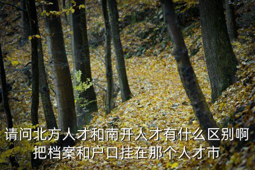 請問北方人才和南開人才有什么區(qū)別啊把檔案和戶口掛在那個人才市