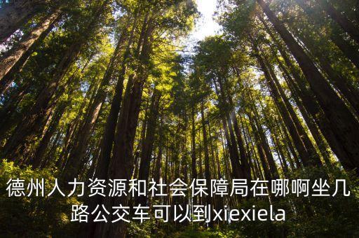 德州人力資源和社會保障局在哪啊坐幾路公交車可以到xiexiela