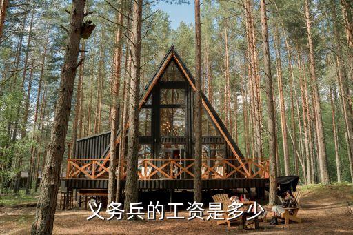 義務(wù)兵工資，誰知道義務(wù)兵每月工資是多少