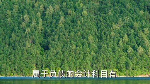負(fù)債類科目有哪些，屬于負(fù)債的會(huì)計(jì)科目有