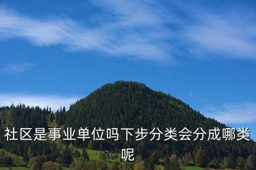 社區(qū)是什么性質(zhì)的單位，社區(qū)是事業(yè)單位嗎下步分類會(huì)分成哪類呢