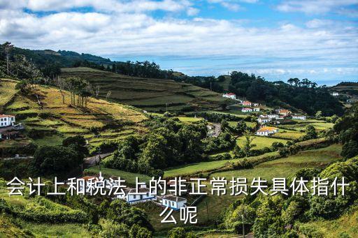 非正常損失，非正常損失的定義