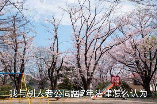 我與別人老公同居7年法律怎么認為