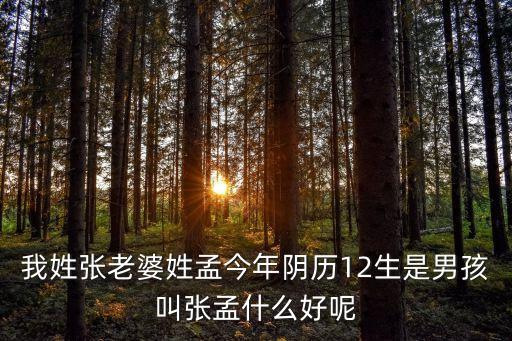 我姓張老婆姓孟今年陰歷12生是男孩叫張孟什么好呢