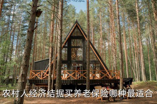 農(nóng)村養(yǎng)老保險(xiǎn)交哪個(gè)檔次最劃算，新型農(nóng)村社會養(yǎng)老保險(xiǎn)交哪一檔次比較好