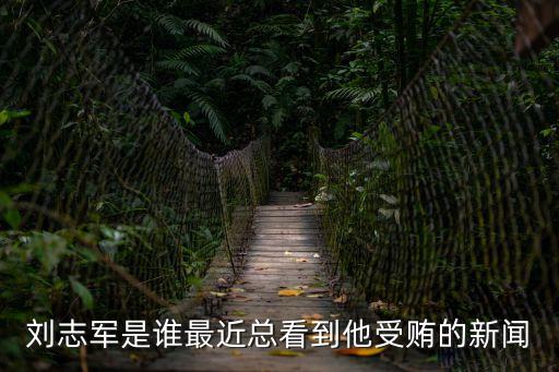 劉志軍是誰最近總看到他受賄的新聞