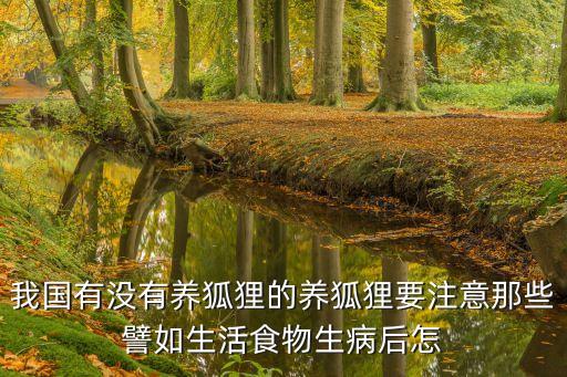 中國可以養(yǎng)狐貍嗎，南方適合養(yǎng)狐貍嗎