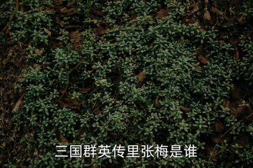 張梅，三國群英傳里張梅是誰