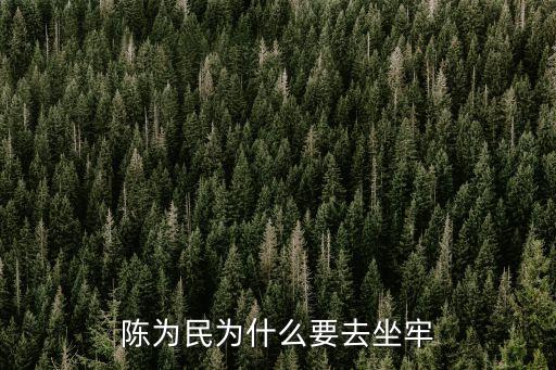 陳為民為什么要去坐牢