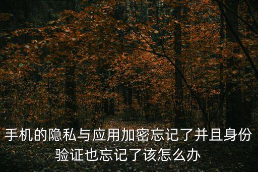 手機的隱私與應用加密忘記了并且身份驗證也忘記了該怎么辦