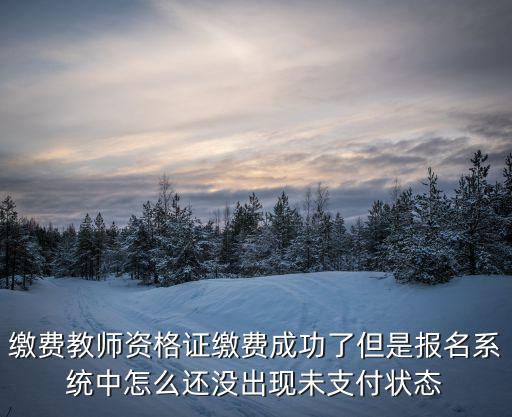 繳費(fèi)教師資格證繳費(fèi)成功了但是報名系統(tǒng)中怎么還沒出現(xiàn)未支付狀態(tài)