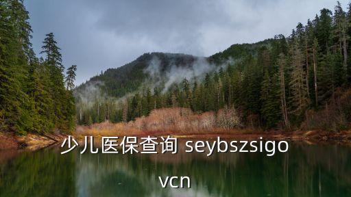 少兒醫(yī)保查詢 seybszsigovcn