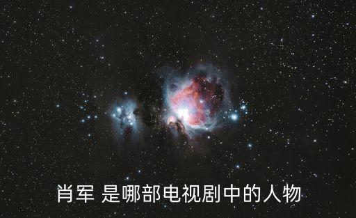 肖軍，作家肖軍走了到魯迅安息的地方去了表達(dá)了什么感情
