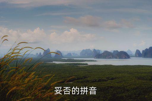 妥否的拼音