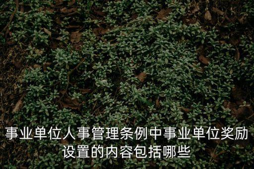 事業(yè)單位獎(jiǎng)勵(lì)規(guī)定，事業(yè)單位工作人員哪些情形下給予獎(jiǎng)勵(lì)